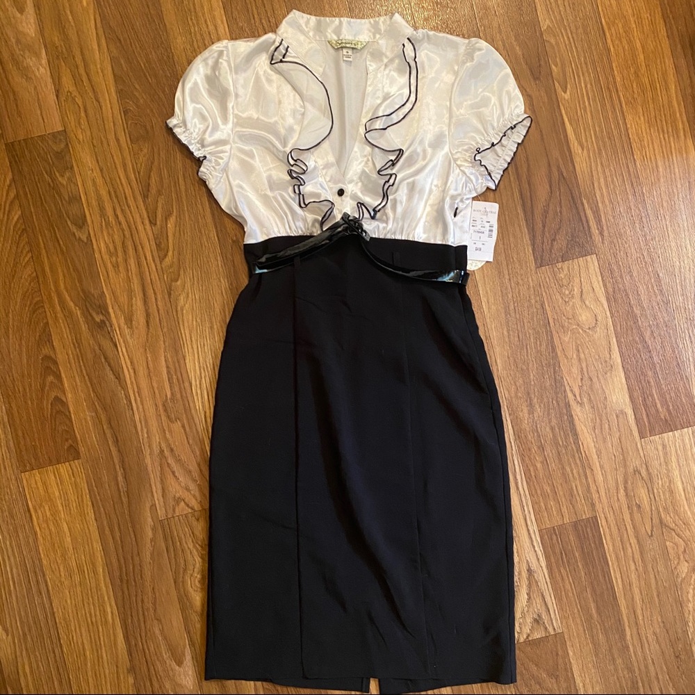 NWT Pencil Dress